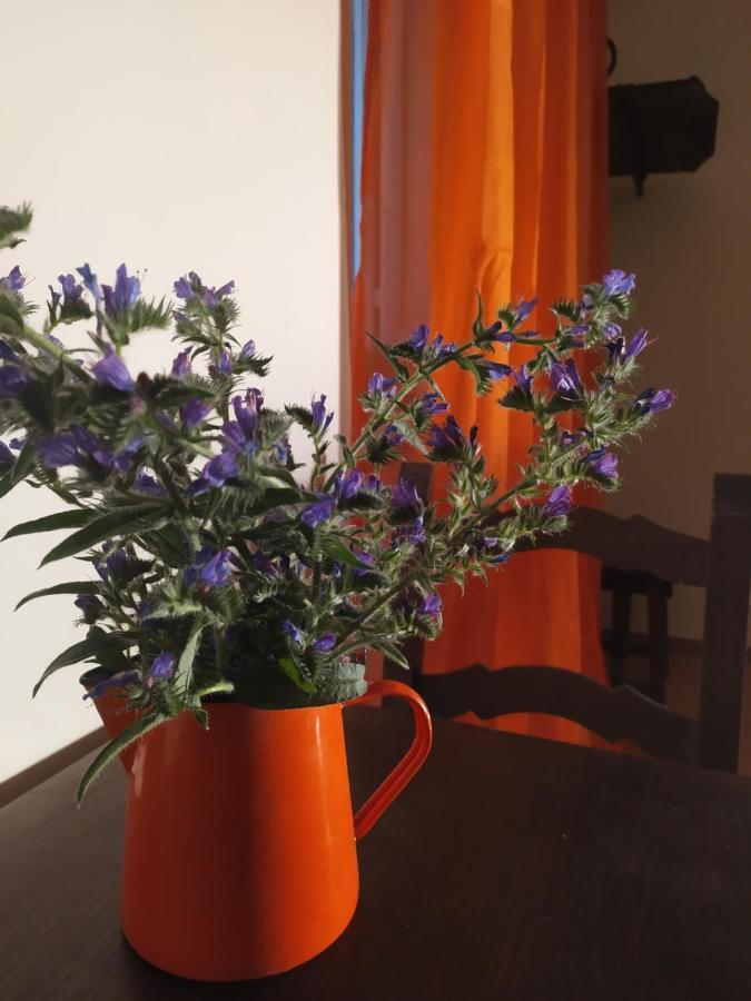 Camere Le Cascatelle 阿西西 外观 照片